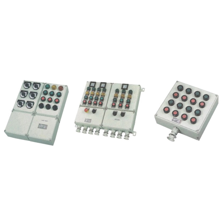 BXK58系列防爆控制箱(Exde II BT6/Exde II CT6)