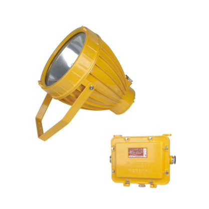 BTC8200防爆投光灯