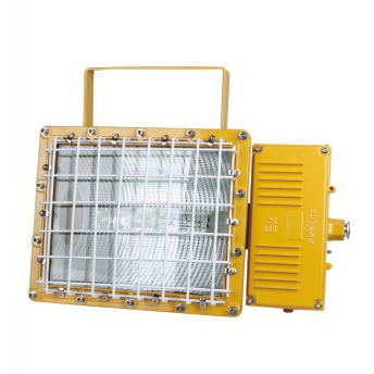 BTC6160防爆泛光灯